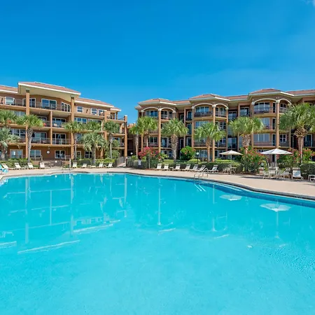 Mediterranea 314E By Newman-Dailey